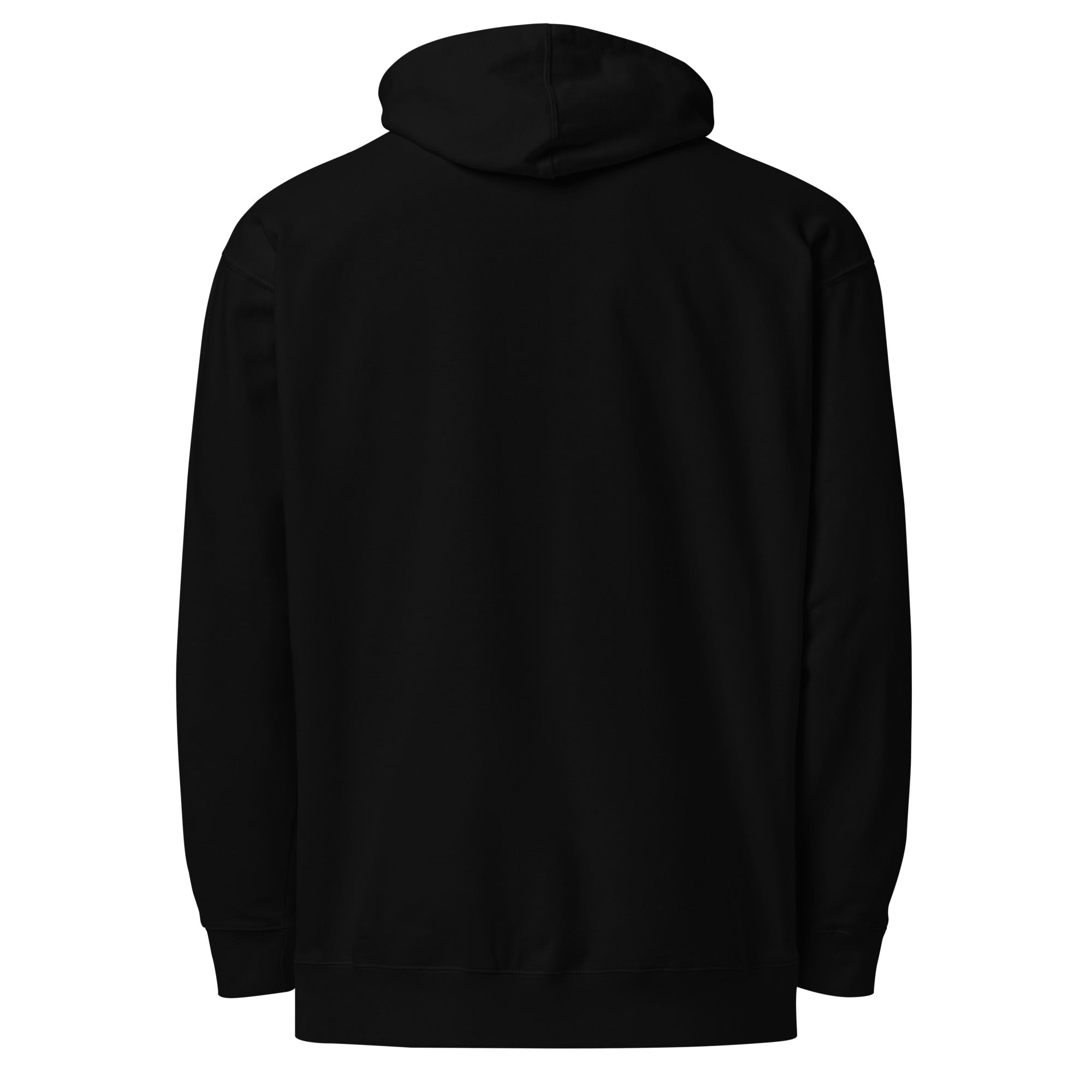 Last 21 Signature Collection Premium hoodie back